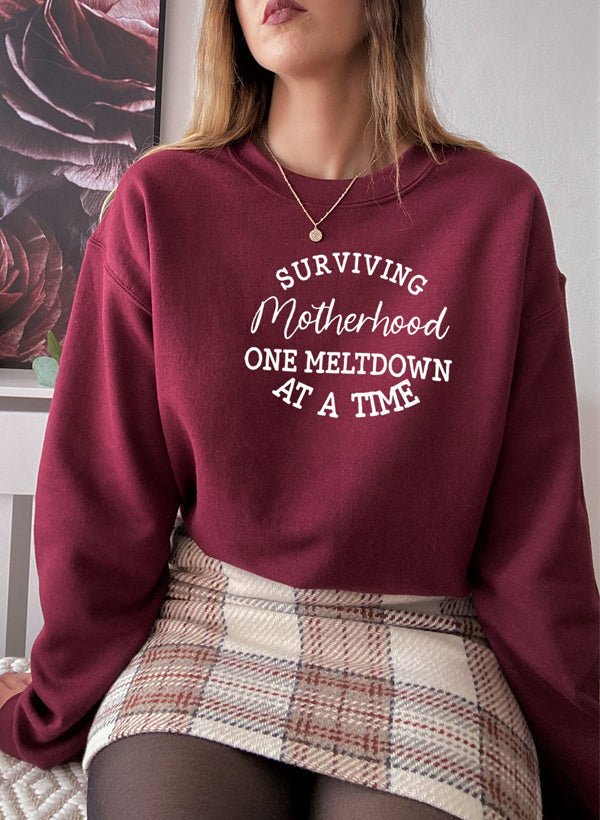 Surviving Motherhood Sweat Shirt - CAMARABUSSINES