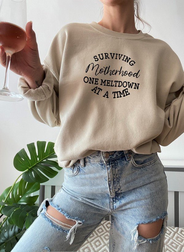 Surviving Motherhood Sweat Shirt - CAMARABUSSINES